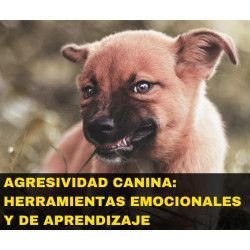 Curso online "Agresividad canina: Herramientas Emocionales y de Aprendizaje"