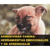 Curso online "Agresividad canina: Herramientas Emocionales y de Aprendizaje"