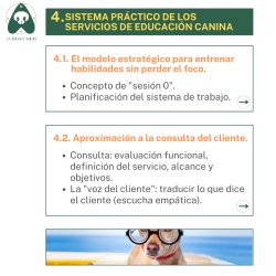 Curso Online "EN LA MENTE DE UN CLIENTE... PRACTICANDO UNA EDUCACIÓN CANINA FUNCIONAL"