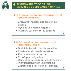 Curso Online "EN LA MENTE DE UN CLIENTE... PRACTICANDO UNA EDUCACIÓN CANINA FUNCIONAL"