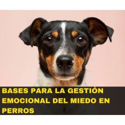 Curso online "Bases para la gestión emocional del miedo en perros"