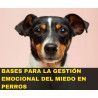 Curso online "Bases para la gestión emocional del miedo en perros"
