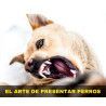 Curso online "El arte de presentar perros"