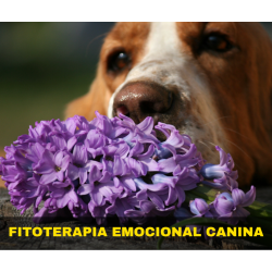 Curso online "Fitoterapia Emocional Canina"