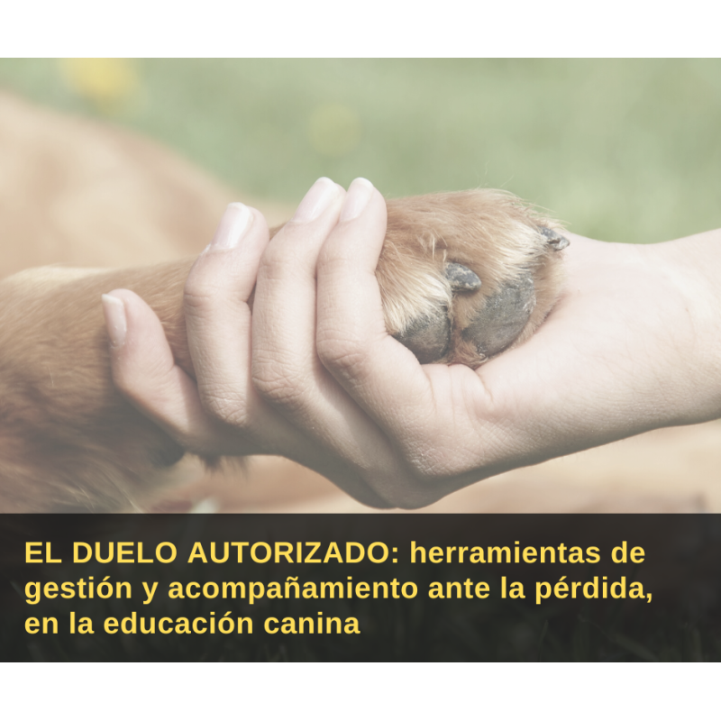 Curso online "El duelo autorizado"
