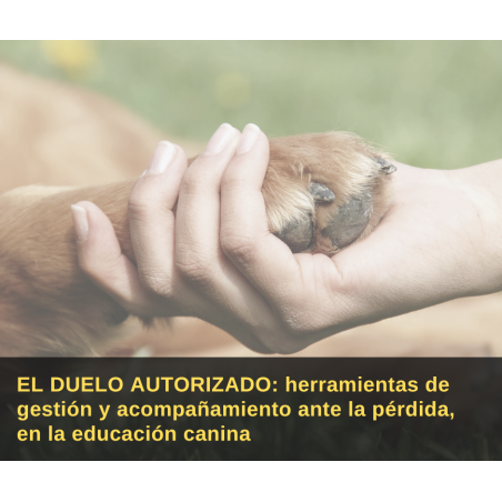 Curso online "El duelo autorizado"