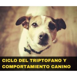 Charla online "Ciclo del Triptófano y Comportamiento Canino"