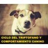 Charla online "Ciclo del Triptófano y Comportamiento Canino"
