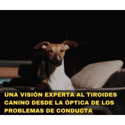 Charla online "Una visión experta al tiroides canino desde la óptica de los problemas de conducta"