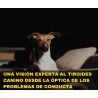 Charla online "Una visión experta al tiroides canino desde la óptica de los problemas de conducta"