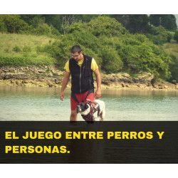 Charla online "El juego entre perros y personas"