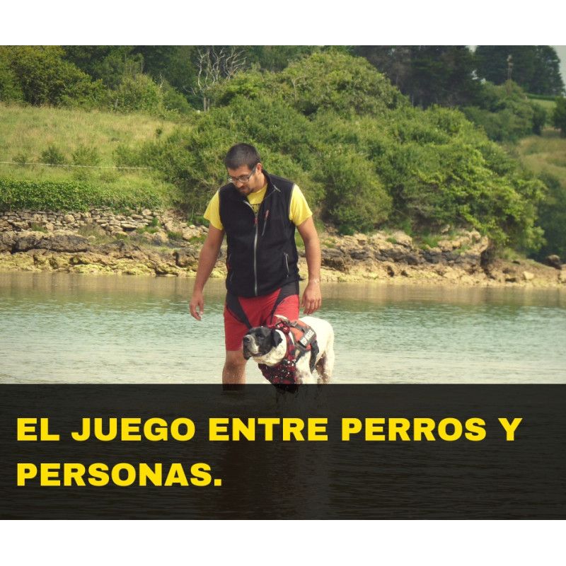 Charla online "El juego entre perros y personas"