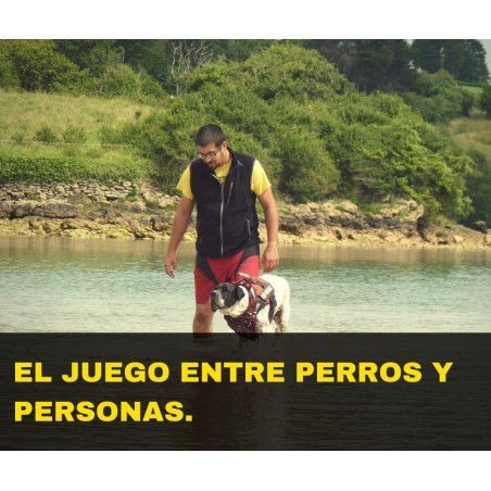 Charla online "El juego entre perros y personas"